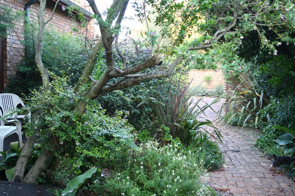 Aero Lodge Guest House Middelburg  Luaran gambar